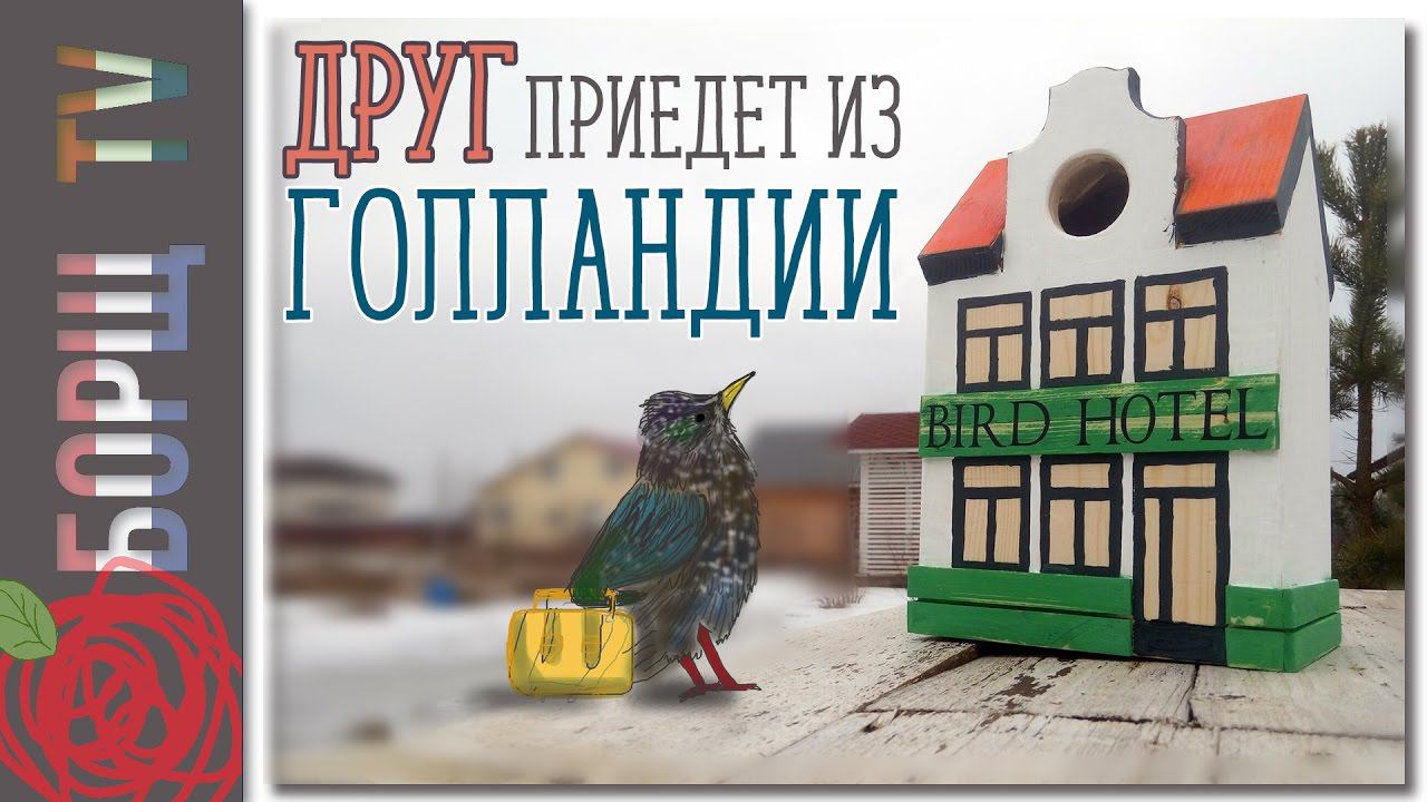 Как сделать скворечник своими руками | Размеры скворечника смотреть онлайн