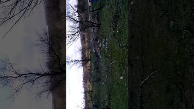 ИЖ54 обзор для продажи смотреть онлайн