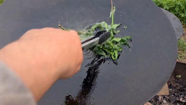 Салаты с Лимонами