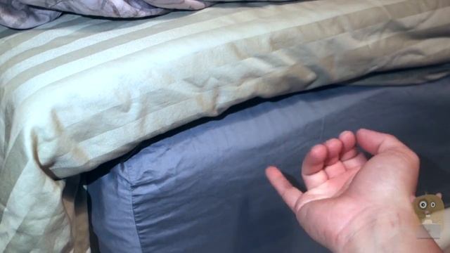 LANGRIA 3 Inch Hypoallergenic Memory Foam Mattress Topper Review смотреть онлайн