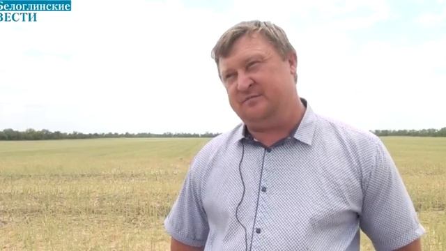 Рапс – «черное золото» успенских полей смотреть онлайн