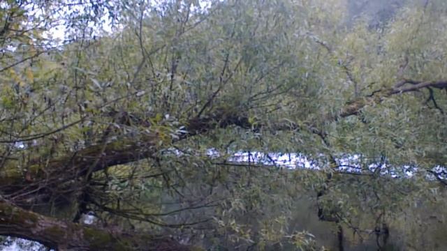 подарок обнинску от ермолино смотреть онлайн