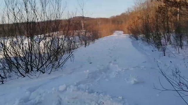 Покатушки, прогулка. смотреть онлайн