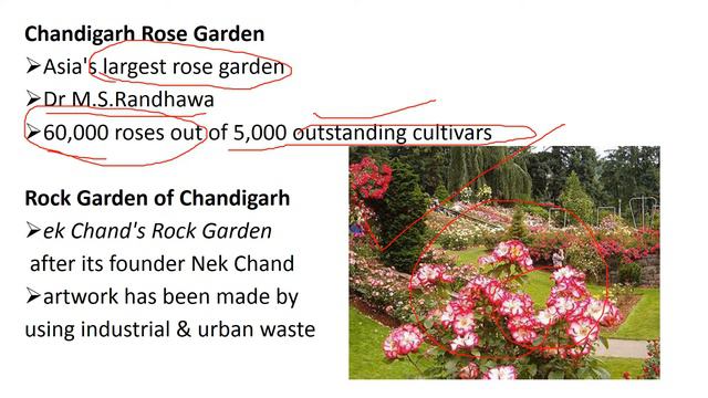 FLOWER SHOWS IN INDIA PART 2 II AGRI SILVI GURU II STEP BY STEP GUIDE II ORNAMENTAL HORTICULTUR смотреть онлайн