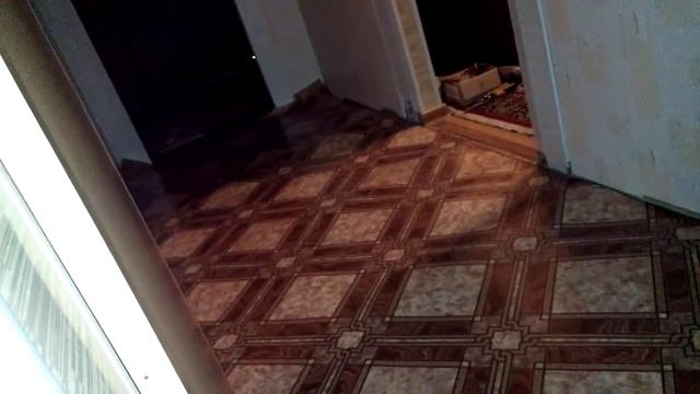 Кот со светящимися глазами приносит светящийся мяч смотреть онлайн
