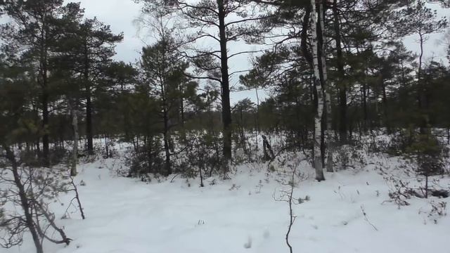 По следам ЛОСЕЙ смотреть онлайн