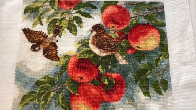 ВЫШИВКА ? ФИНИШ Воробушки от Золотого руно/МОСКВА Обзор рукодельного магазина#вышивкакрестом смотреть онлайн