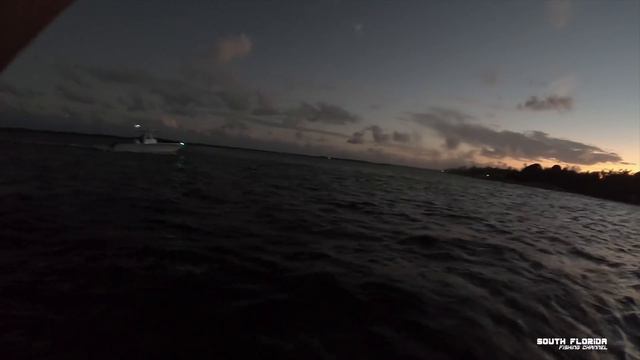 Catching Mangrove Snapper On A Knocker Rig | Cooking Fish Pancakes