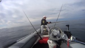 Рыбалка во Владивостоке, минтай, камбала, лосось.