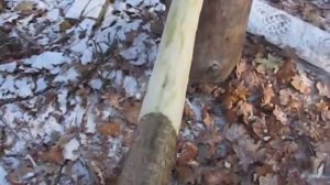 Как сделать лук своими руками