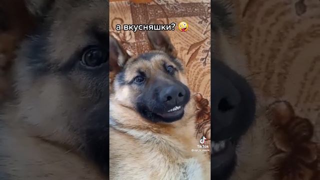 а вкусняшка? ? смотреть онлайн