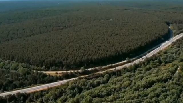 VAMPIRE CANTIK YANG INGIN BERTAHAN HIDUP‼️ALUR FILM 2022