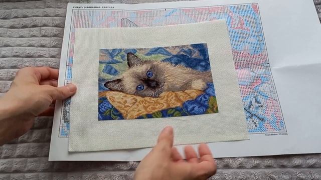 64. Влог №26 про ФИНИШ котёнка от Dimensions и Жуткий СП (8.10-1.11.2023) #вышивкакрестом смотреть онлайн