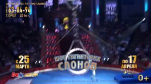 Цирк Триумф. ШОУ Гигантских слонов