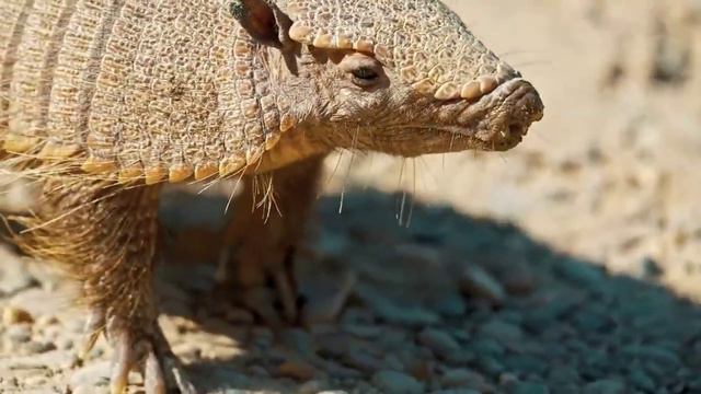 Всем доброго утра и хорошего дня! смотреть онлайн