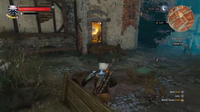 The Witcher 3 - now or never - Triss get stuck bug смотреть онлайн