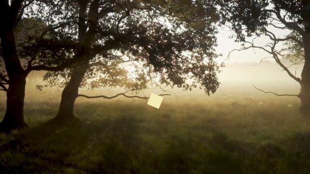 Учиться жизни: как постоянно развиваться и рости | Не стоит думать что уже все знаете смотреть онлайн