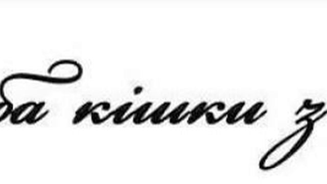 Дружба кішки з мишкою