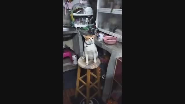 Смешная подборка мемов и приколов №102 смотреть онлайн