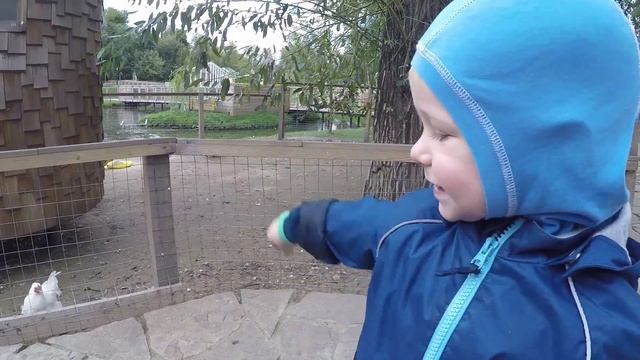 КУДА СХОДИТЬ С РЕБЕНКОМ. КУДА СХОДИТЬ С РЕБЕНКОМ в Москве. Ферма на ВДНХ смотреть онлайн