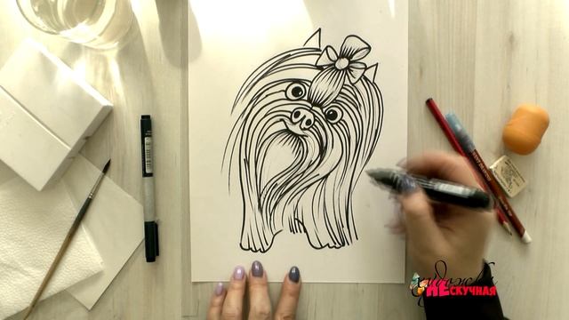 Как нарисовать собаку йоркширского терьера? смотреть онлайн