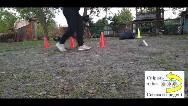 Ралли обидиенс в Украине: Спираль смотреть онлайн