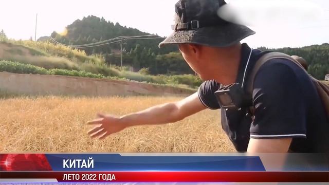 ЗАСУХА в Китае: Реки пересохли → Что ЭТО значит для страны? смотреть онлайн