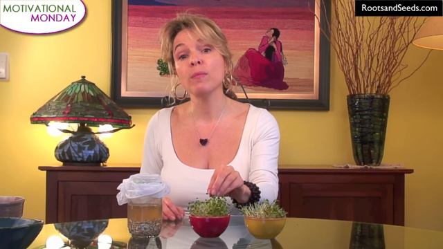 Nutritional Benefits of Broccoli and Alfalfa Sprouts смотреть онлайн