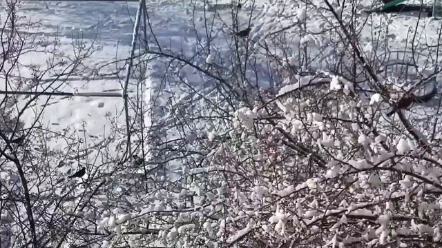 Что делать,если ночью не спится//  Мама - блогер!  Покупки с WB.