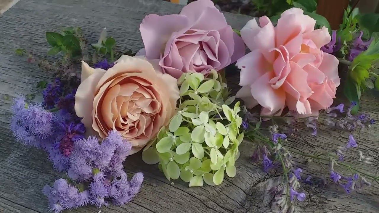 Сочетания... Мокароса, Блю Гёрл, Поэзия.Компаньоны. смотреть онлайн