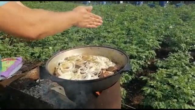 Секреты Творческой Реализации