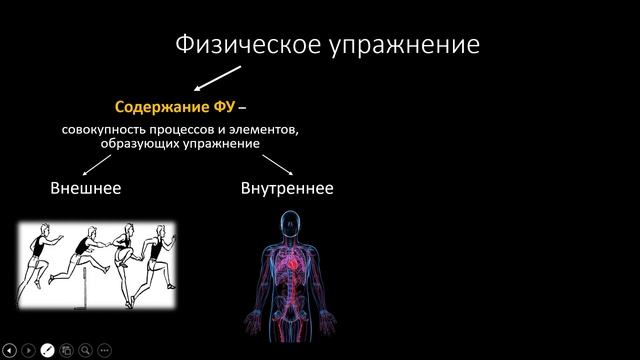 Содержание и форма физического упражнения смотреть онлайн