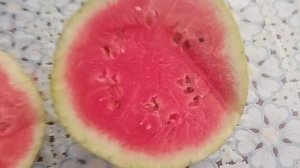 Арбуз Продюсер в разрезе| Первый арбуз Продюсер.