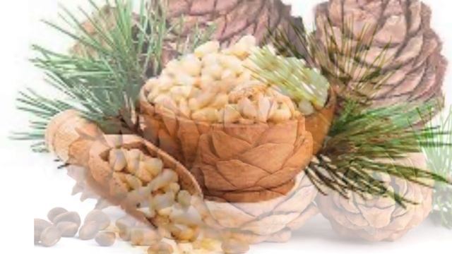ВИДЕО  ДОСТУПНО  В  4К  ФОРМАТЕ   /   PINE NUTS /   ОРЕХИ  КЕДРОВЫЕ   /   ПОЛЬЗА  КЕДРОВЫХ  ОРЕХОВ
