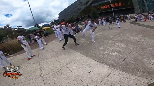 Festival de Capoeira Suba-5° Etapa Graduado Gato (Cangaço Cdo) Bogota смотреть онлайн