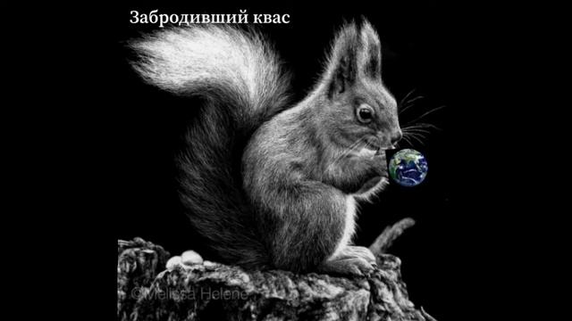 Забродивший Квас альбом Белкина земля песня Не моет смотреть онлайн