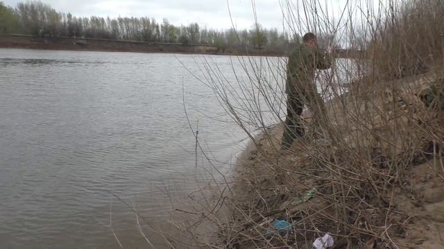 Река Ахтуба Астраханская область.Разведка по лещу.Донка против фидера. смотреть онлайн