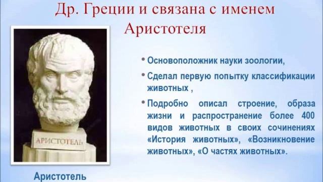 История зоологии #био100 смотреть онлайн