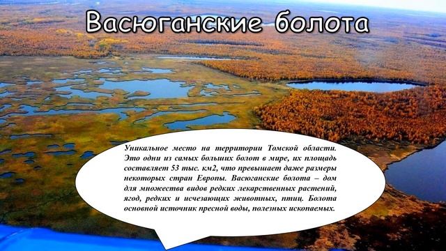Мультимедийная презентация "Храните чудо из чудес..." природные богатства Томской земли (12+) смотреть онлайн