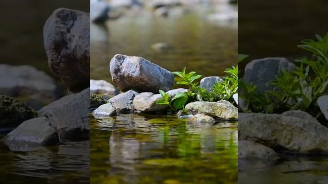 эту музыку можно слушать вечно...Релакс музыка успокаивающая для отдыха и для сердце, #sleep #relax смотреть онлайн
