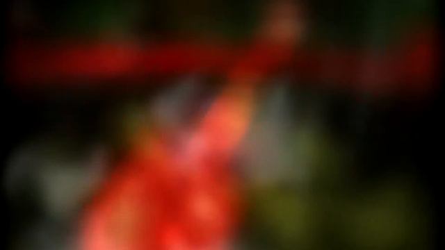 Warframe [ Immortal Trinity ] смотреть онлайн