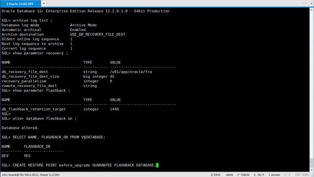 ORACLE: FLASHBACK DATABASE, hướng dẫn cấu hình và sử dụng. смотреть онлайн