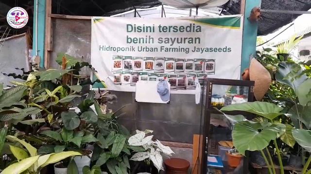 #vlog BLUSUKAN PASAR PASTI JOGJA PAS MASA PANDEMI - TERBESAR DI JOGJA FULL #tanamanhias MUMBYUK NDA смотреть онлайн