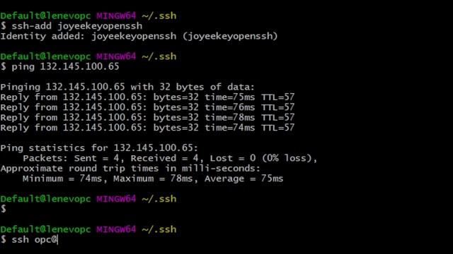Connecting Remote Server from Gitbash (Windows) смотреть онлайн