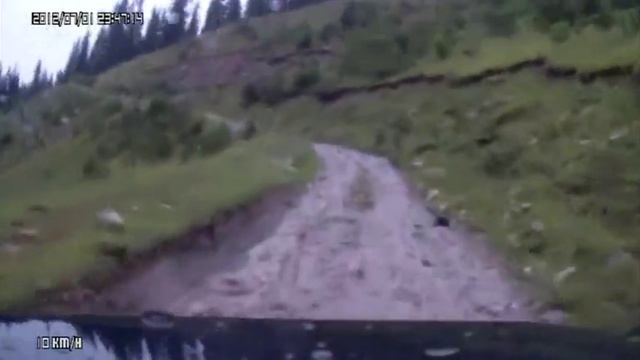 Алтын Арашан смотреть онлайн