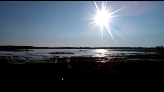 Звук бекаса, токование бекаса