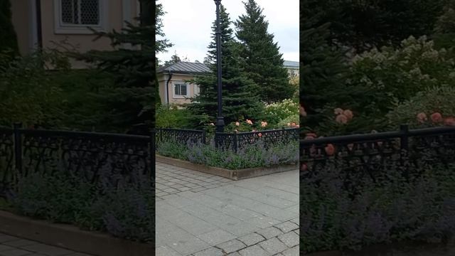 Цветы, зелень, ёлка, ель, Оптина Пустынь