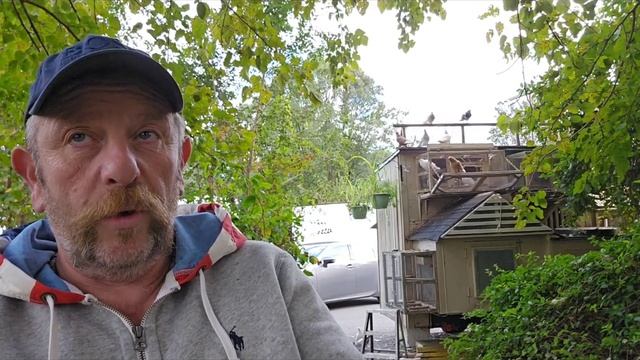 #голуби О почтовых голубях о том что происходит в знамениты питомниках#сша смотреть онлайн