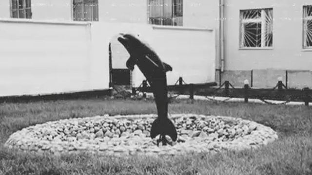 Гиа Пика - Фонтанчик с чёрным дельфином смотреть онлайн