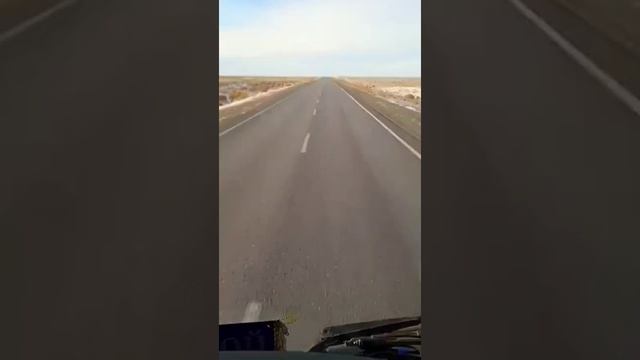 Верблюды зимой . смотреть онлайн